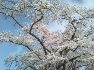 三神峯公園